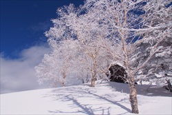 大東園周辺の冬の情景